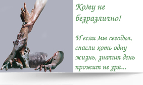 Помощь наркозависимым и центру лечения наркомании Страна живых