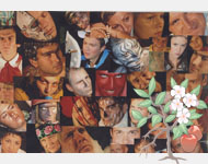 Раскопки. Весна 2008