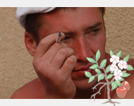 День рожденья Тульского Дома