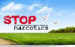 Отзывы о Стране живых